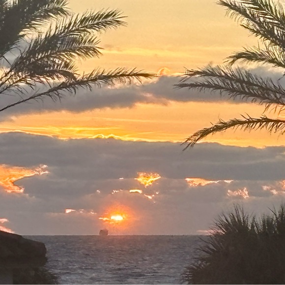 Jeremiah 29:11 ~ my life verse - Picture 4 of 10